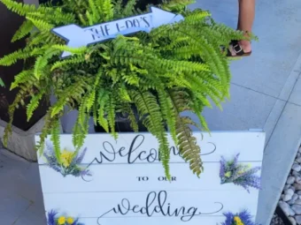 DJ & MC Services - Weddings | DJ Chase